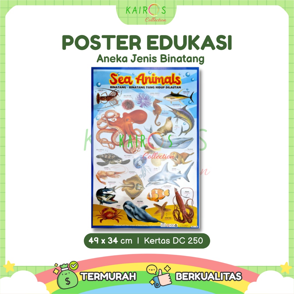 Poster Edukasi Anak Aneka Jenis Binatang Darat, Laut, Udara