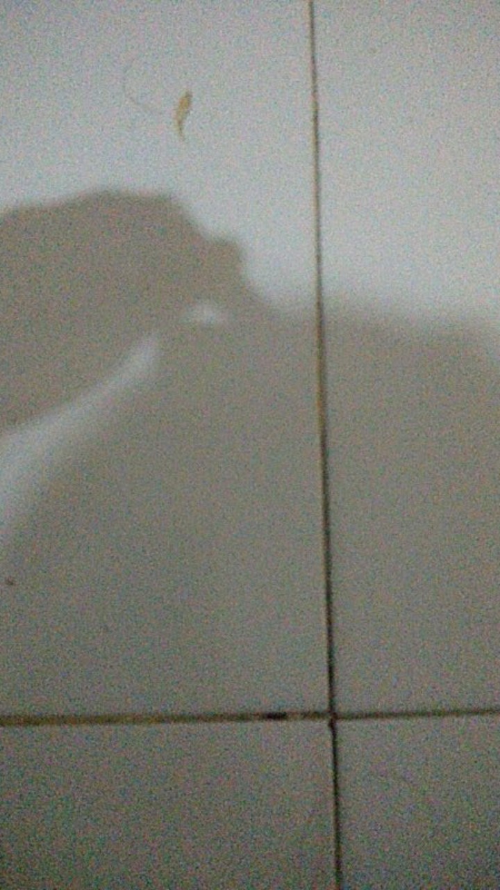 Masker Branded /masker Dewasa Motif/ Masker Rainbow/masker Motif Dewasa  Premium 3 Ply Isi 10