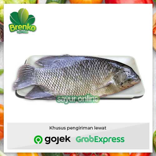 

Ikan gurame segar