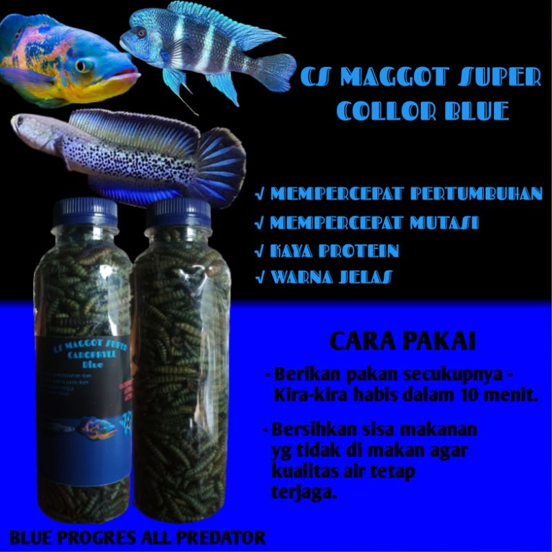 Maggot Super Collor Blue Kemasan Botol 250 ML Khusus Promo Beli 4 Gratis 1 Botol 100 ML