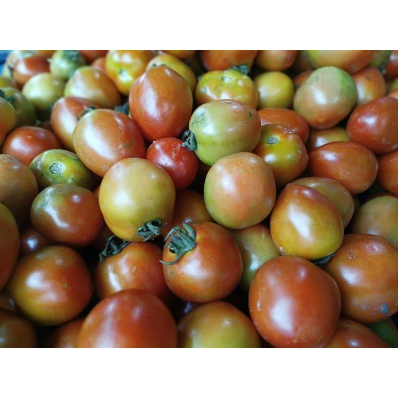

TOMAT SEGAR 500 gram