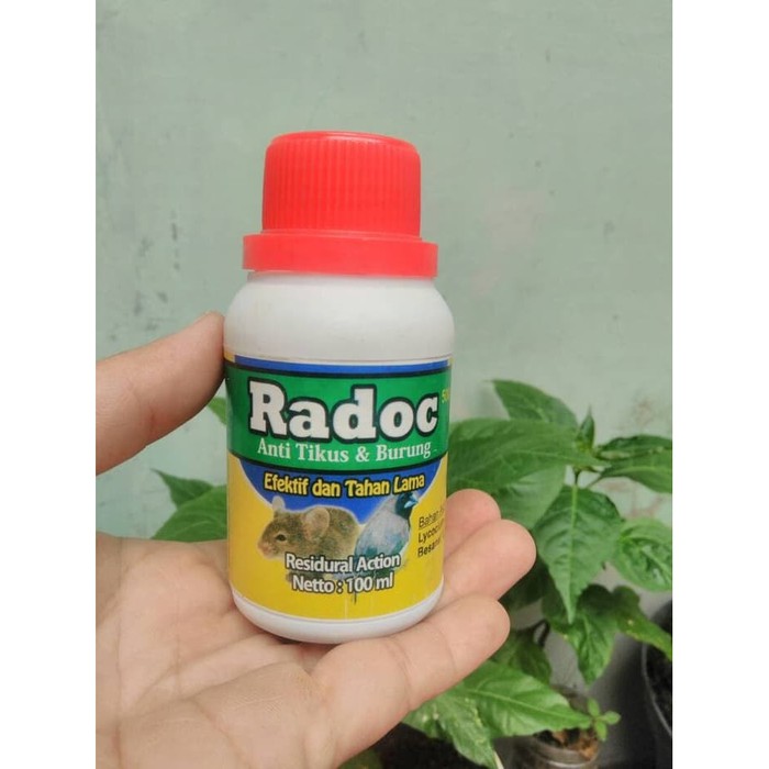 Obat Hama Racun tikus Radoc anti tikus dan burung