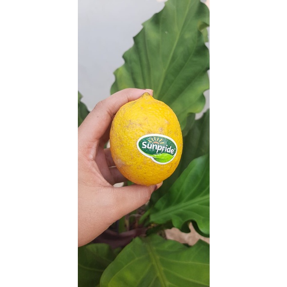 

Lemon California 500 gram