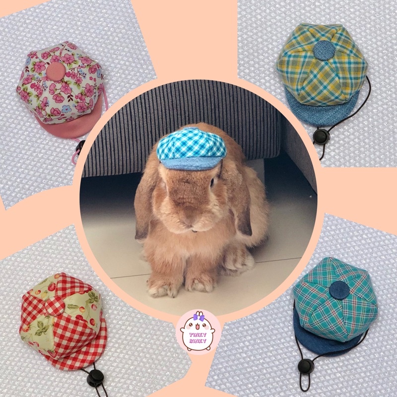 Topi kucing, kelinci holland lop, anjing mini model newsboy