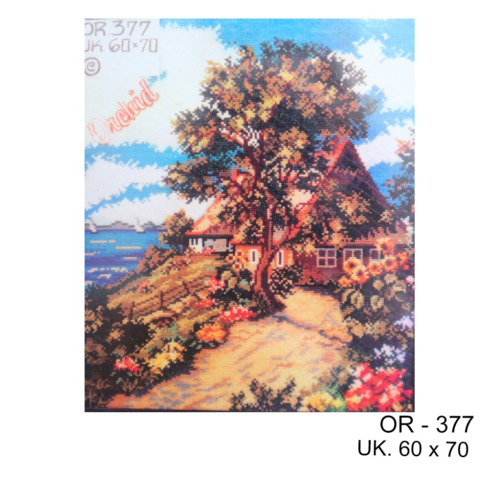 Kruistik Orchid - 377