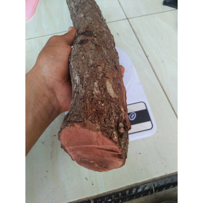 jual bahan kayu stigi