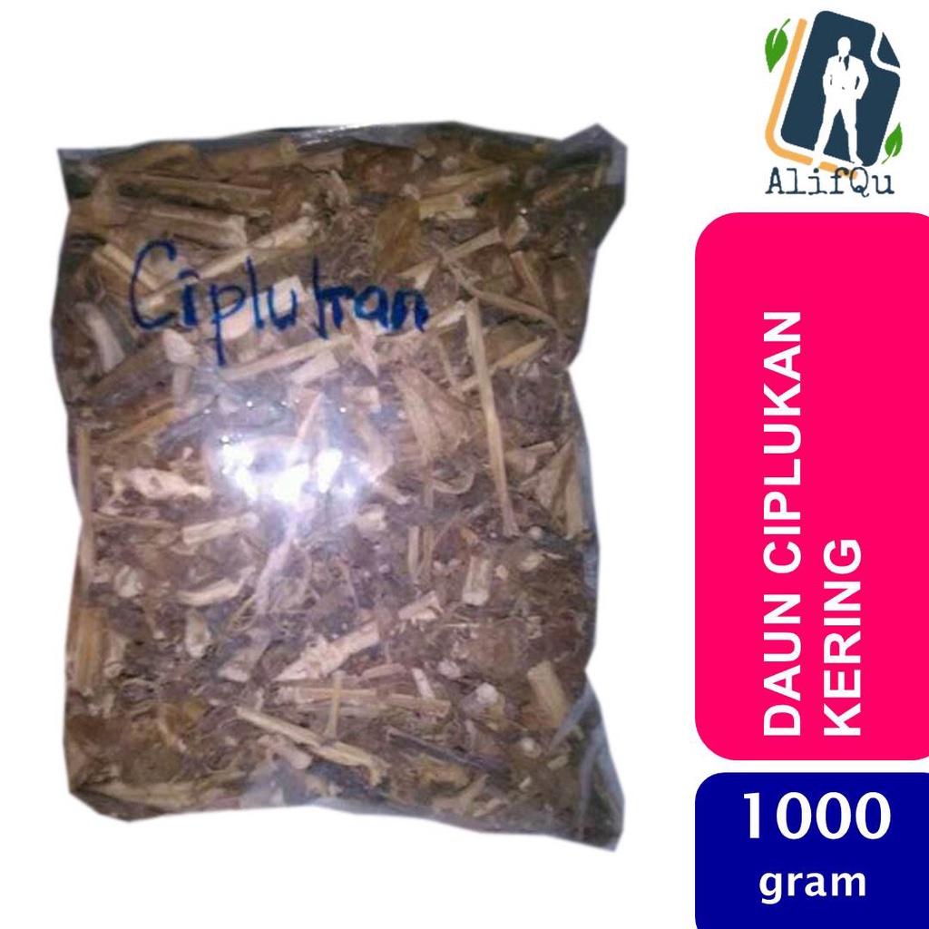 

Daun Ciplukan Kering 1000 gram