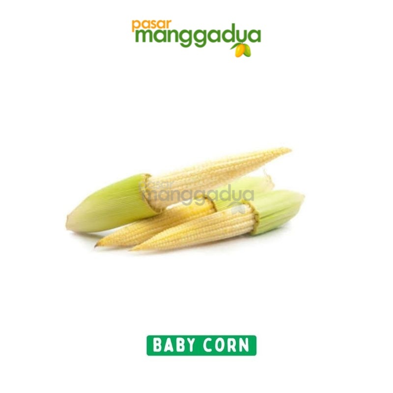 

FRESH !!! Baby Corn / Janten / Jagung Muda Per Pack / Sayur Segar