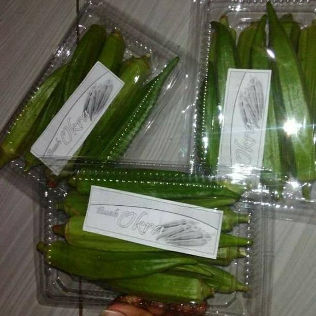 

[KODE PRODUK 6KDT09339] Buah okra hijau segar