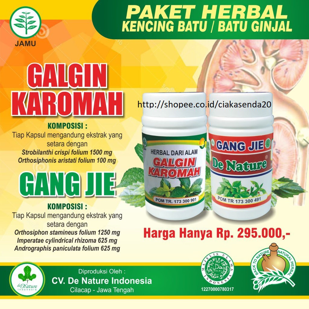 Obat Herbal Ginjal Bocor, Gagal Ginjal, Ginjal Bengkak, Batu Ginjal, Sering Kencing Herbal De Nature