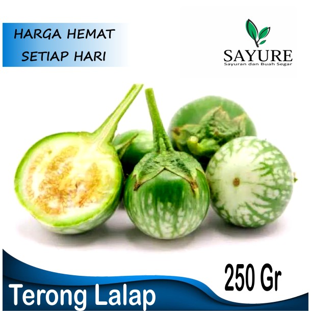 

TERONG LALAP TERONG HIJAU MURAH 250 GR