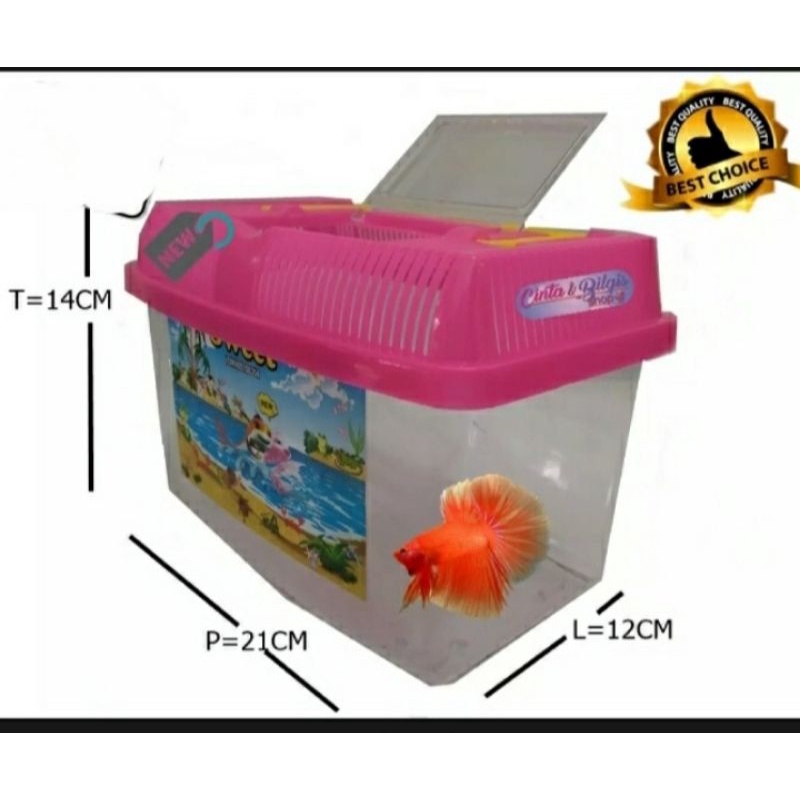 TERARIUM Aquarium Mini Ikan Cupang Ikan Hias Terarium Mini Kura Kura Hamster