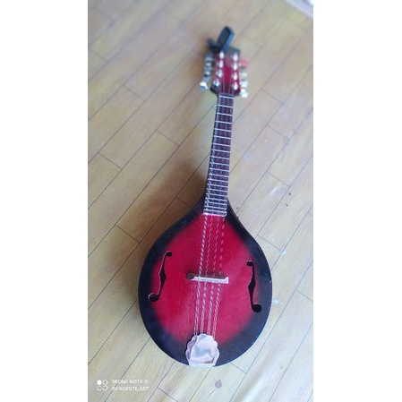 mandolin elektrik
