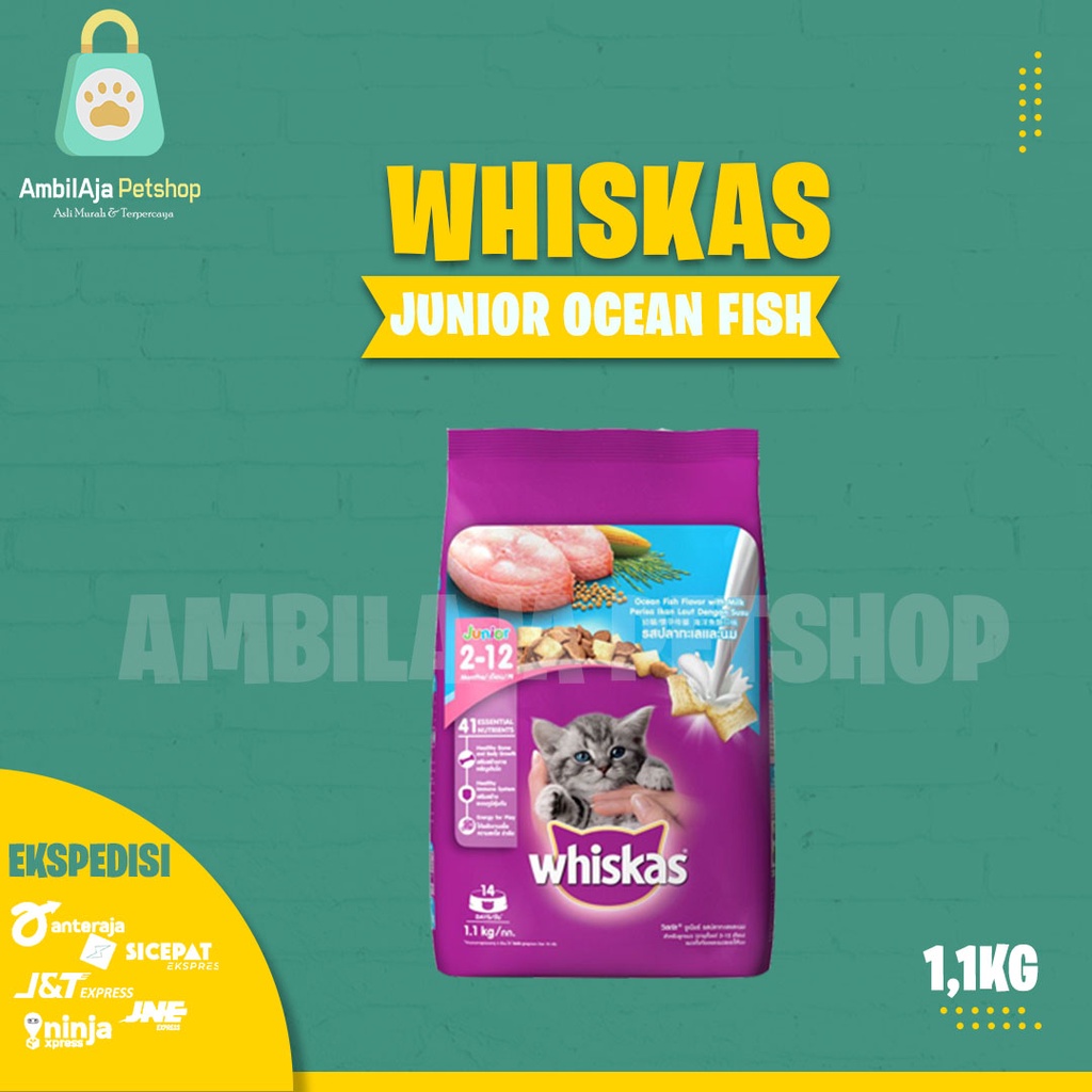 Makanan Kucing kering murah WHISKAS JUNIOR 1,1kg All Varian