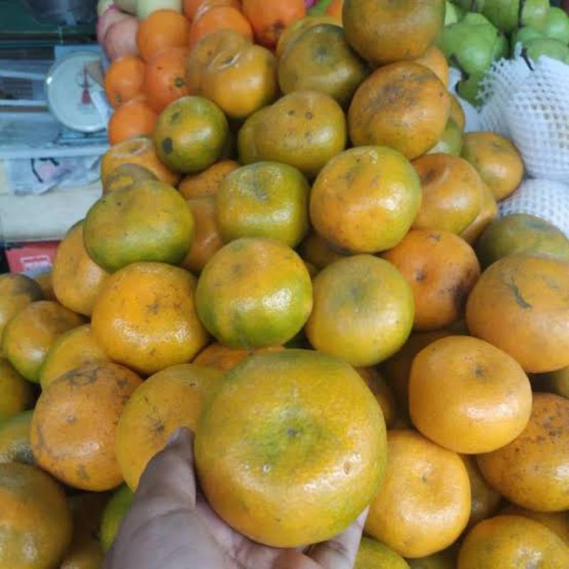

Jeruk medan 1kg manis buah murah promo - salam zone