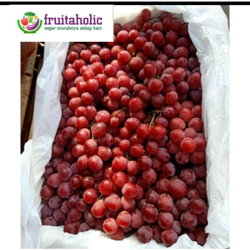 

ANGGUR RED GLOBE (Australi)harga terbaik...