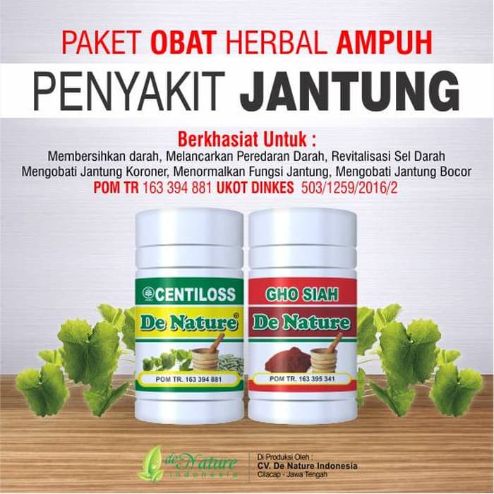 Obat Herbal Jantung Berdebar Debar Sesak Napas Sesak Dada Sakit Dada Herbal De Nature Terlaris Shopee Indonesia