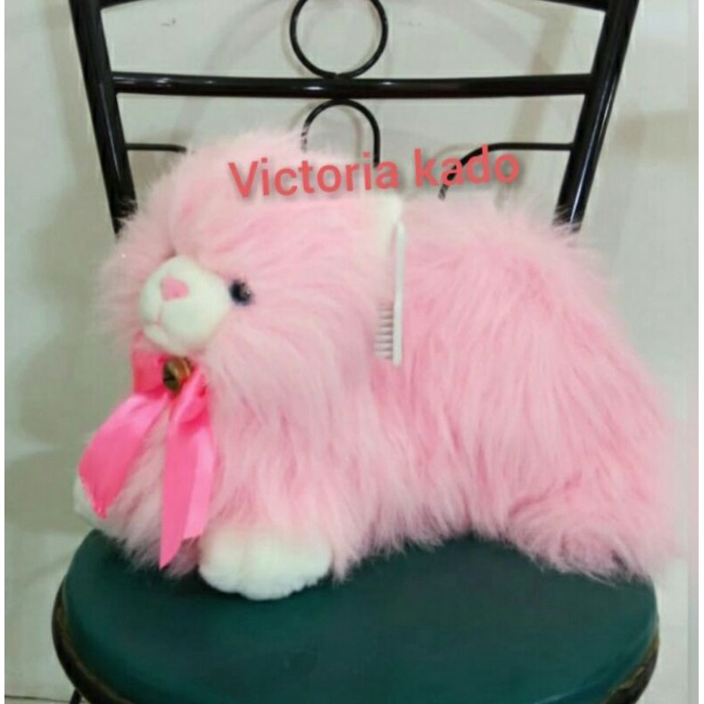 Boneka kucing anggora cantik lucu jumbo by seulgi