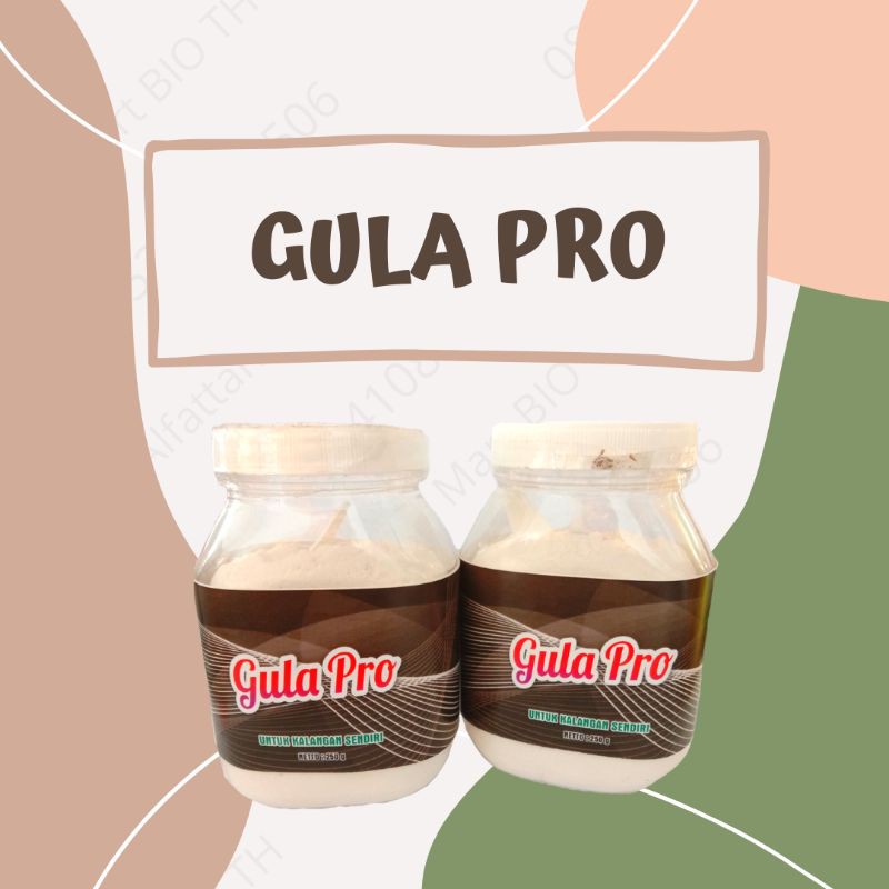 

GULA PROBIOTIK BIO TH