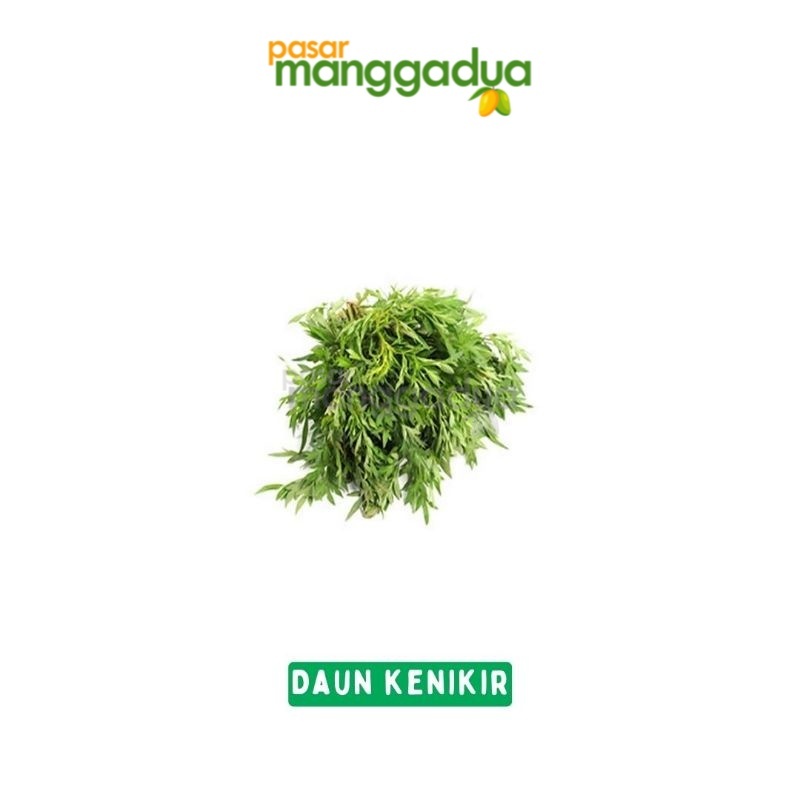 

FRESH !!! Daun Kenikir Per Ikat / Sayur Segar