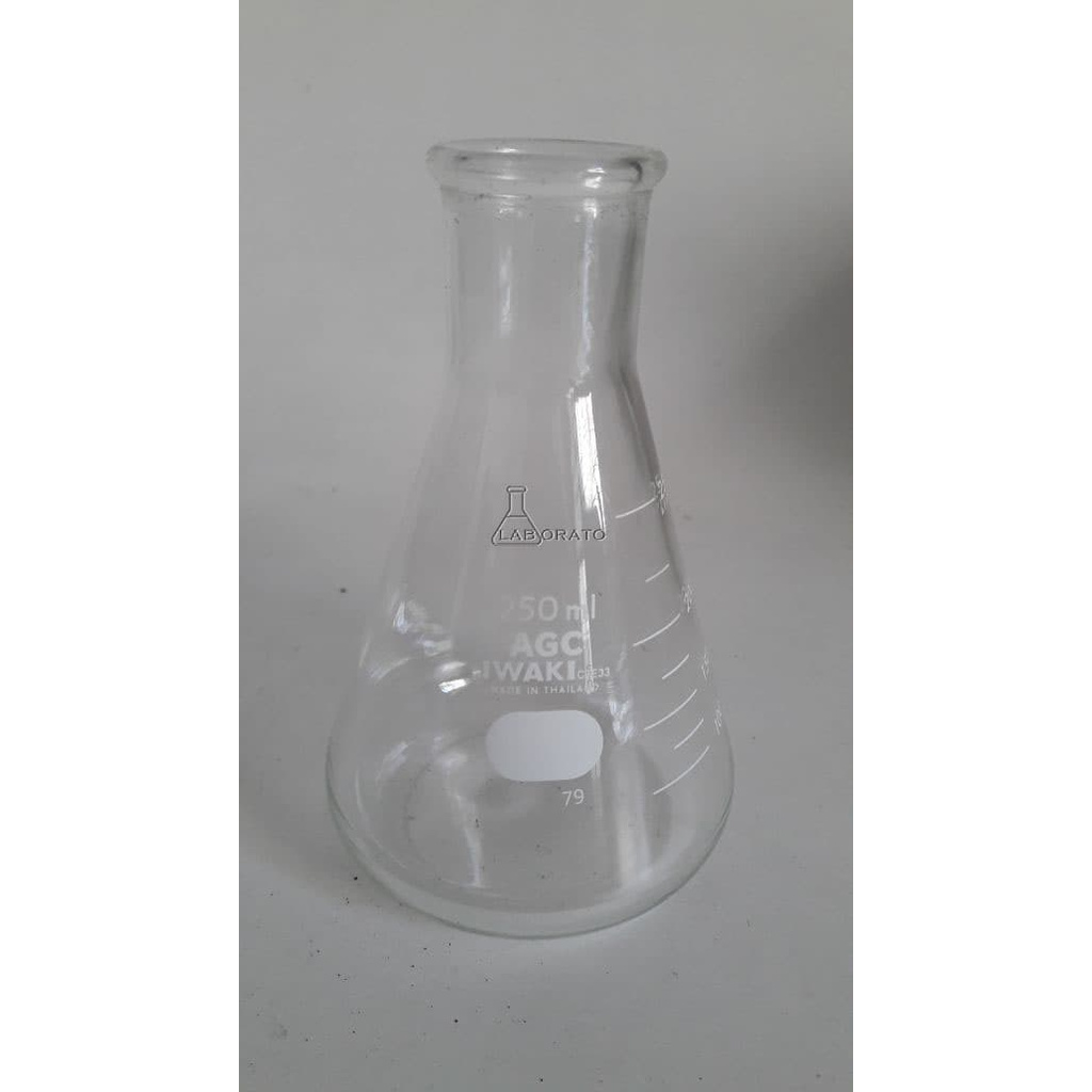 ERLENMEYER 250 ML IWAKI PYREX - PS6 Lab YS-284