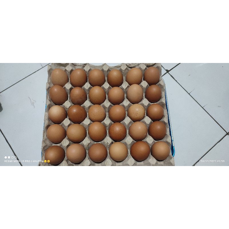 

Telur Ayam Negeri 30 Butir