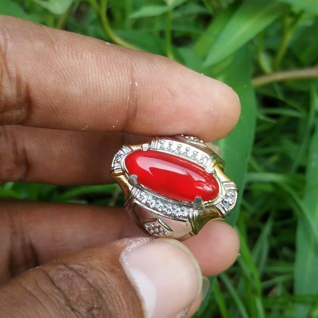 Cempaka merah