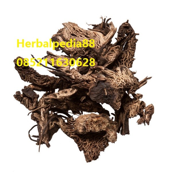 

Sheng Ma Large Trifoliolious Bugbane Rhizome 150 gram