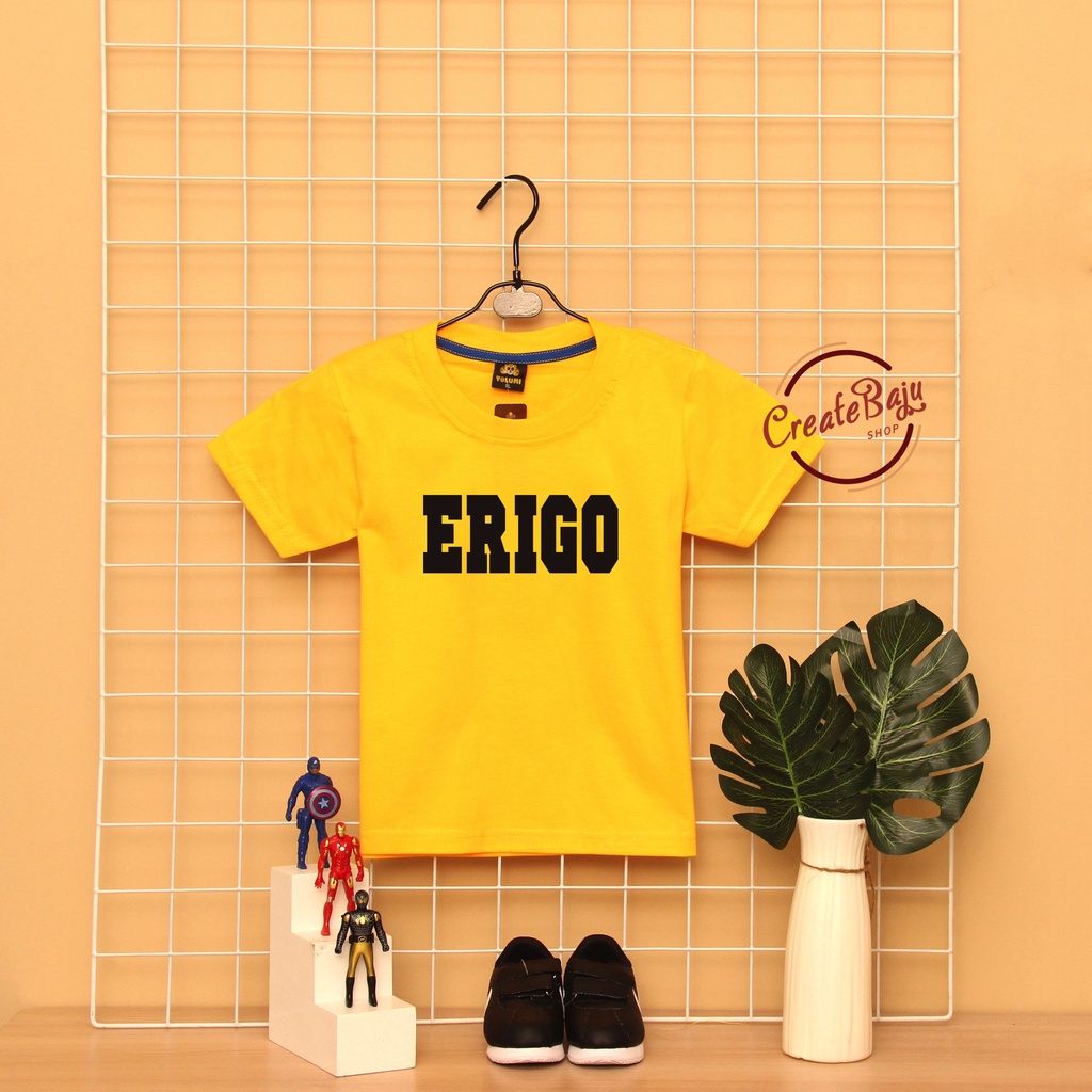 CUSTOM KAOS ANAK LAKI ERIGO 1-7 TAHUN BAJU ATASAN ANAK LAKI FASHION TERMURAH BAHAN KATUN