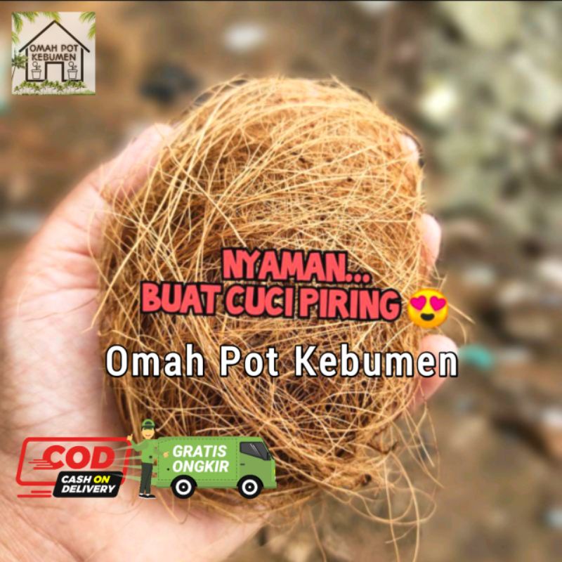 SABUT CUCI PIRING ALAMI SABUT KELAPA