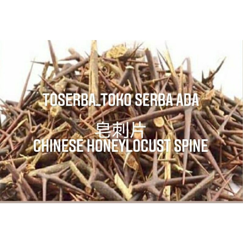 

100gr Herbal Zao Ci 皂刺 Chinese Honeylocust Spine Premium Grade