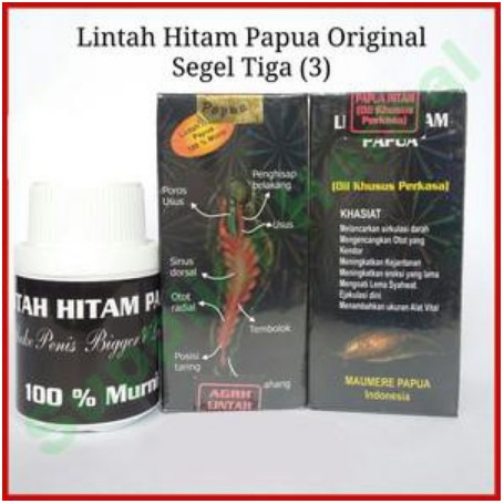 MINYAK LINTAH ASLI PAPUA HITAM SEGEL 3 GOLD ISI HITAM PEKAT LINTAH PAPUA TERBARU