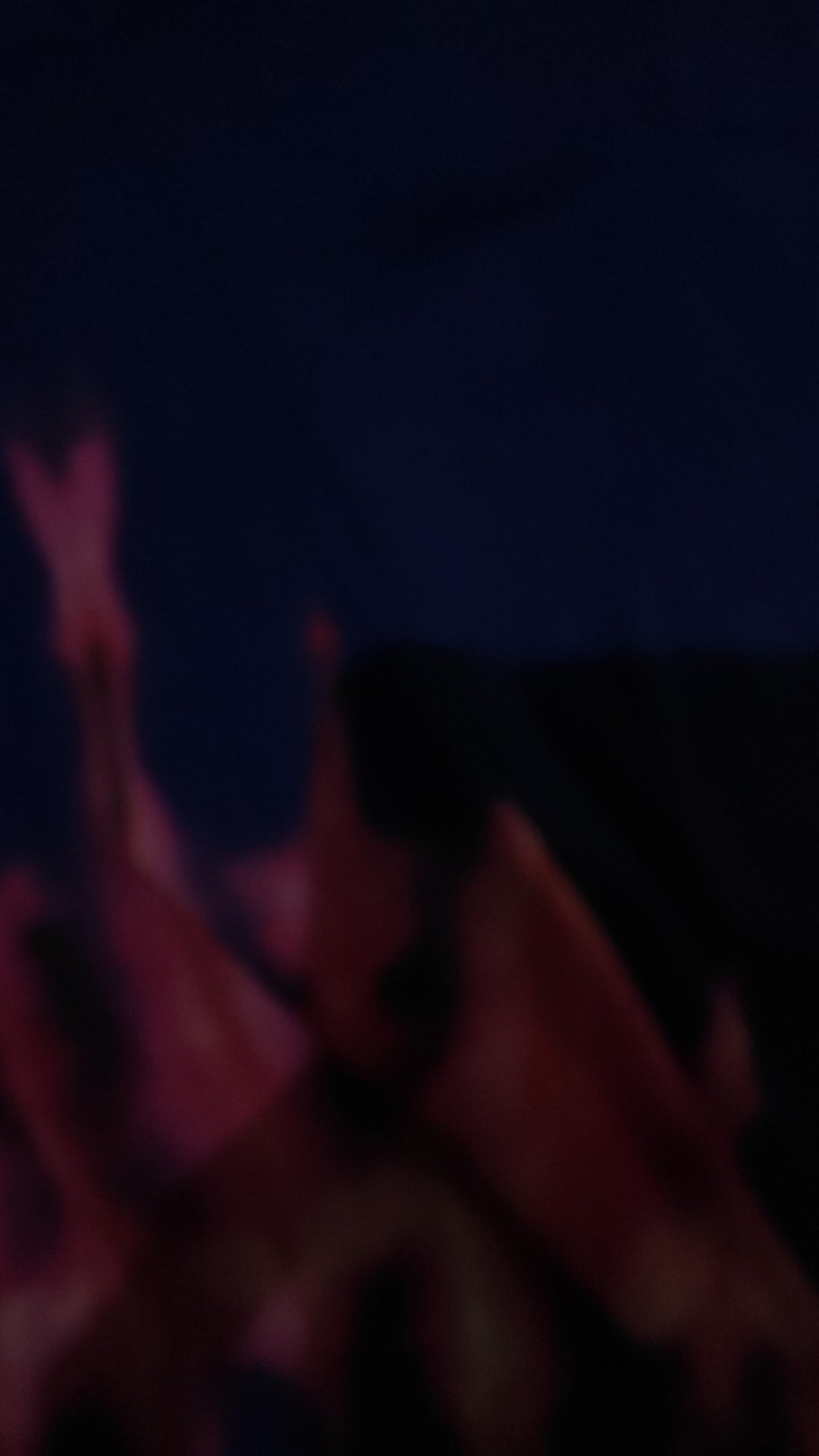 Multipro Cs-2058/2qy Mesin Gergaji Pohon Kayu 20 Inch Chainsaw Cs2058