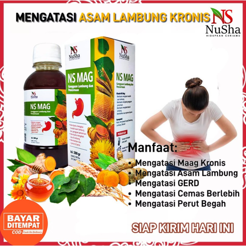 Madu Maag NS MAG (6 in 1) Mengobati Sakit Maag Asam Lambung Gerd Mual Kembung 280 gr 100% !!!ORIGINAL