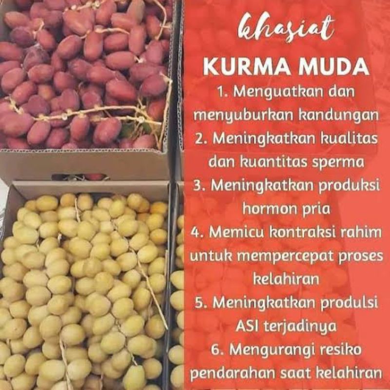 

13 JUN 22 1000GR KURMA MUDA KUNING BARHEE /KURMASUBUR/KURMA MUDA MEDAN / KURMA PROMIL /KURMAMUDAMURAH