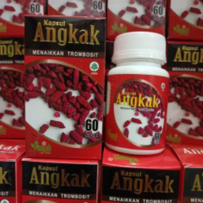 HERBAL OBAT DBD TIPES TYPUS MEMBANTU MENAIKAN TROMBOSIT - KAPSUL ANGKAK INAYAH