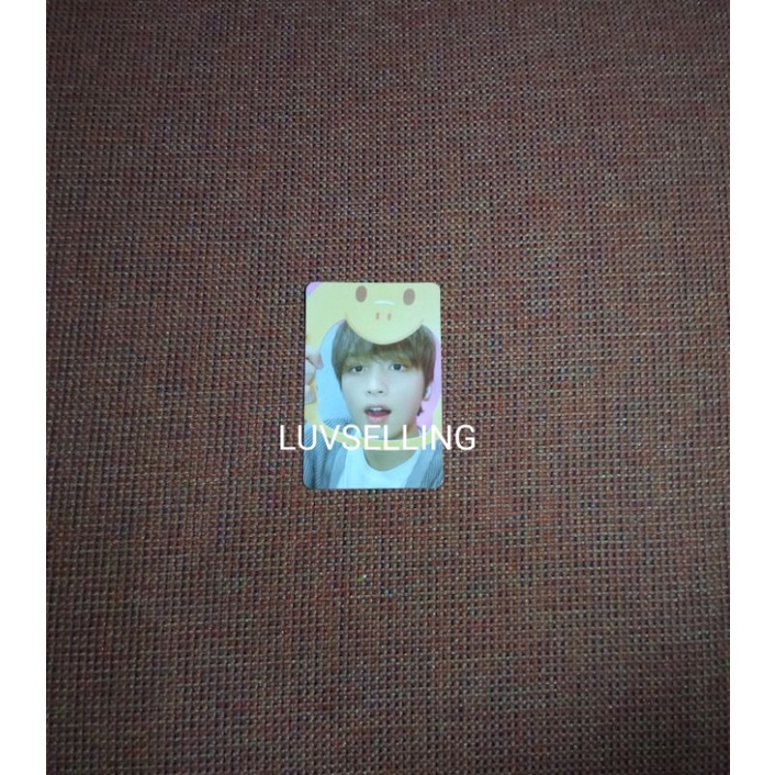 pc haechan pinkfong pingfong dino nct dream