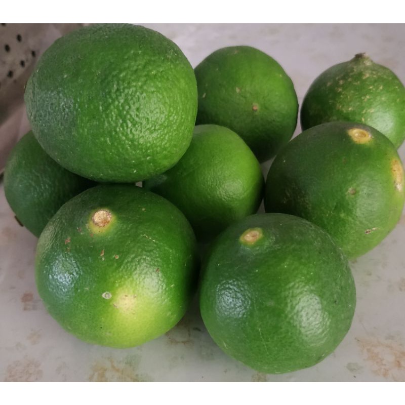 

1/2 KILO JERUK NIPIS SEGAR
