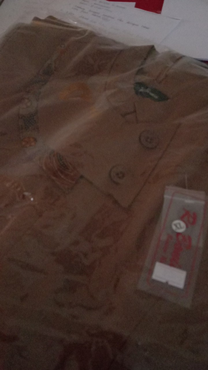 Gamis Pemda Tua Lis Batik, Gamis Rebonia