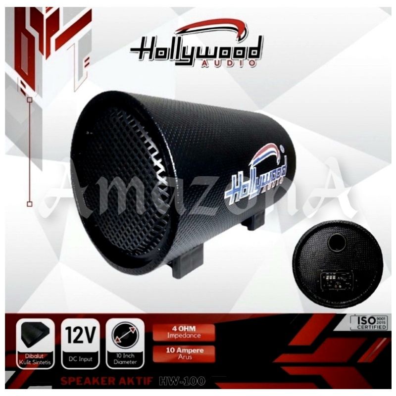 Basstube Hollywood Audio HW-100 10 Inch Subwoofer Aktif