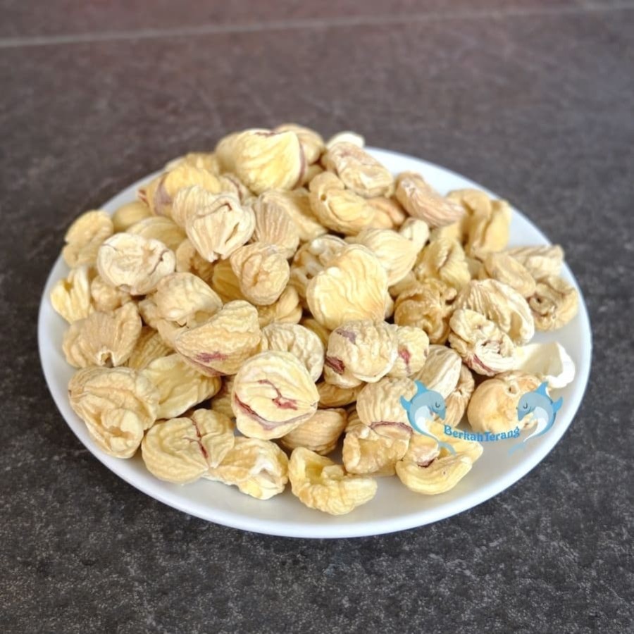 

Kacang Lakci SUPER 500GR / Chestnut Kacang Berangan