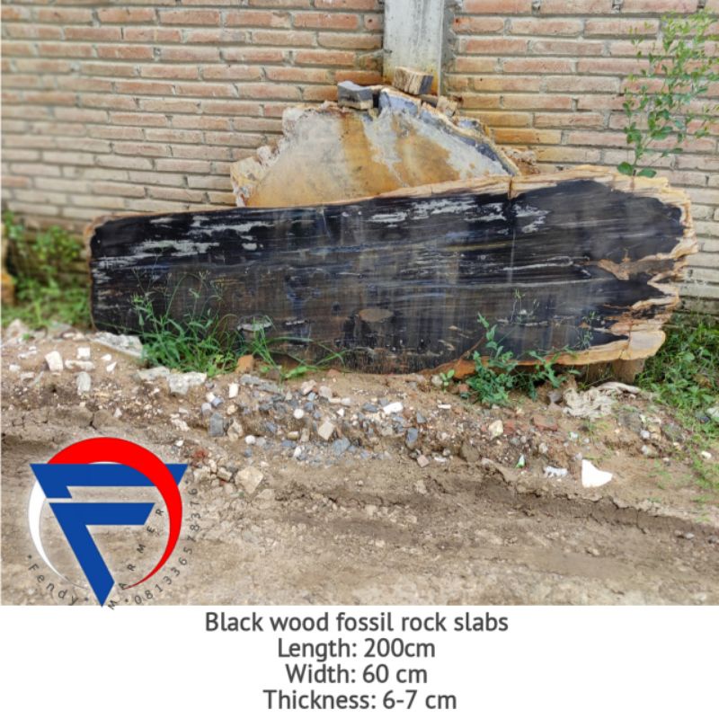 Lembaran batu fosil kayu hitam natural