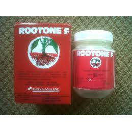 Hormon Perangsang Akar Rootone F