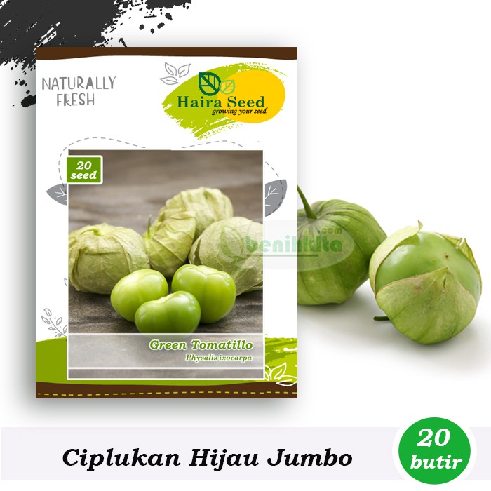 Benih-Bibit Ciplukan Green Tomatillo Organik (Haira Seed)