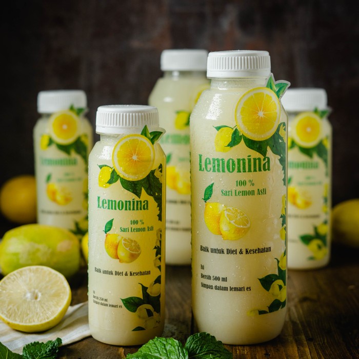 

Lemonina 500ml