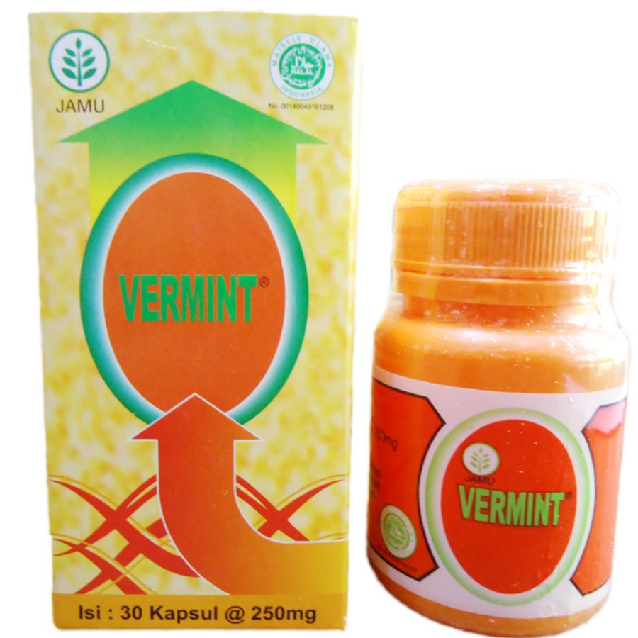 Vermint | Vermin | Obat Penyakit Tifus / Tipes / Typus 30 Kapsul