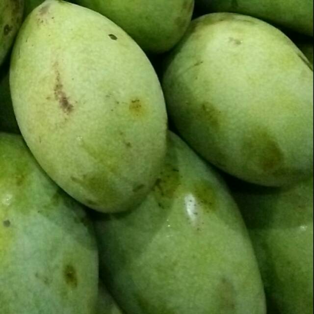 

Buah segar mangga manalagi harum