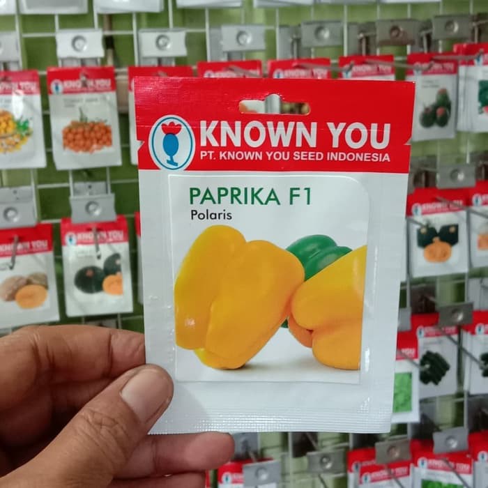 

Promo Benih Paprika F1 Polaris Known You Seed Berkualitas