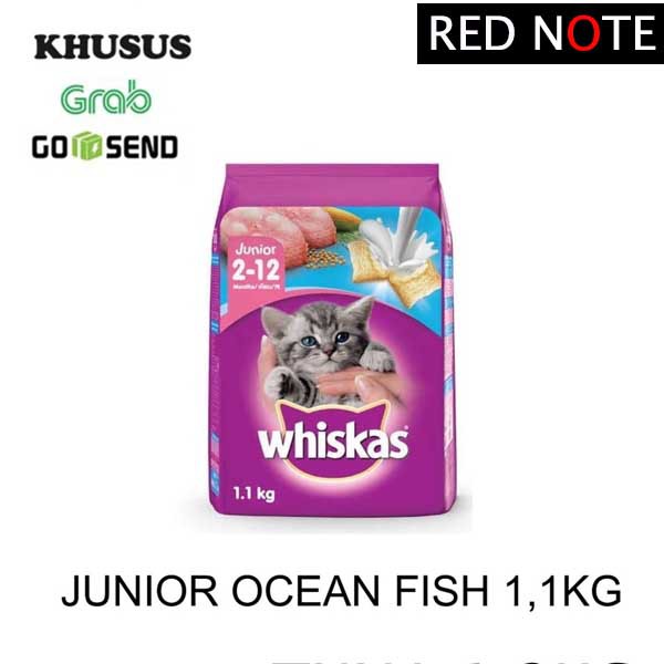 Whiskas Junior Ocean Fish 1.1kg (Grab/Gosend)