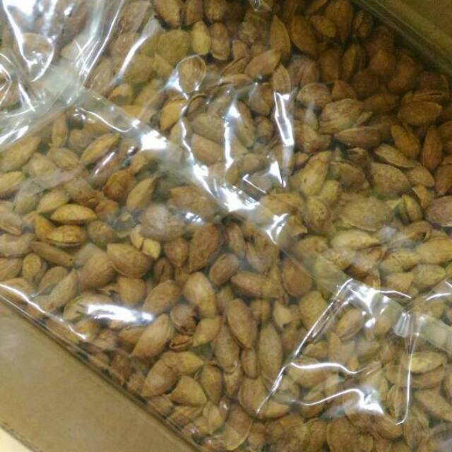 

Kacang almond .